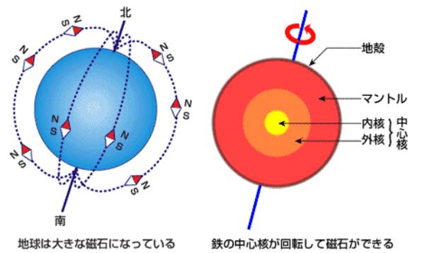 犬は「地球の磁気」を感知する。うんちのときに北を向くって知ってた?