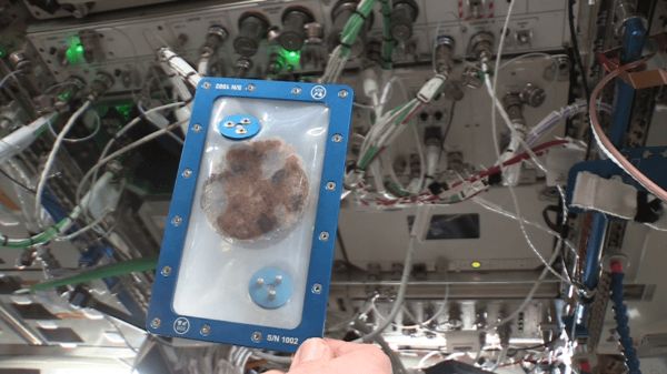 宇宙でオーブンを使ってクッキーを焼いたらどうなるのか?