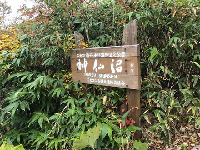 ニセコの神仙沼でパワーチャージ!