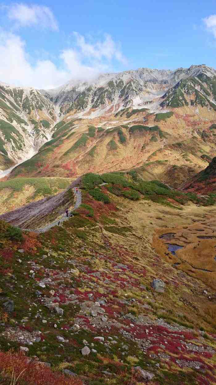 赤・黄・緑のコントラスト 絶景の紅葉スポット 立山室堂