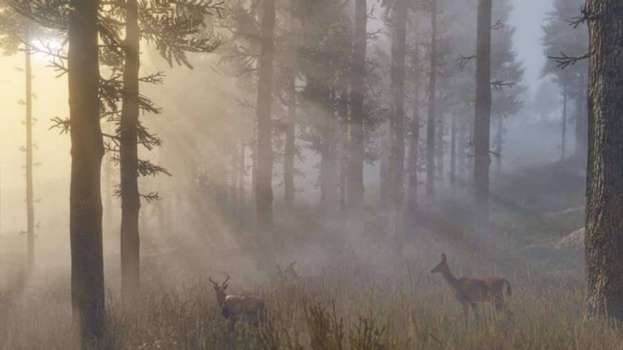 『レッド・デッド・リデンプション2』のプレイヤーはガチで野生動物に詳しくなっていたと判明