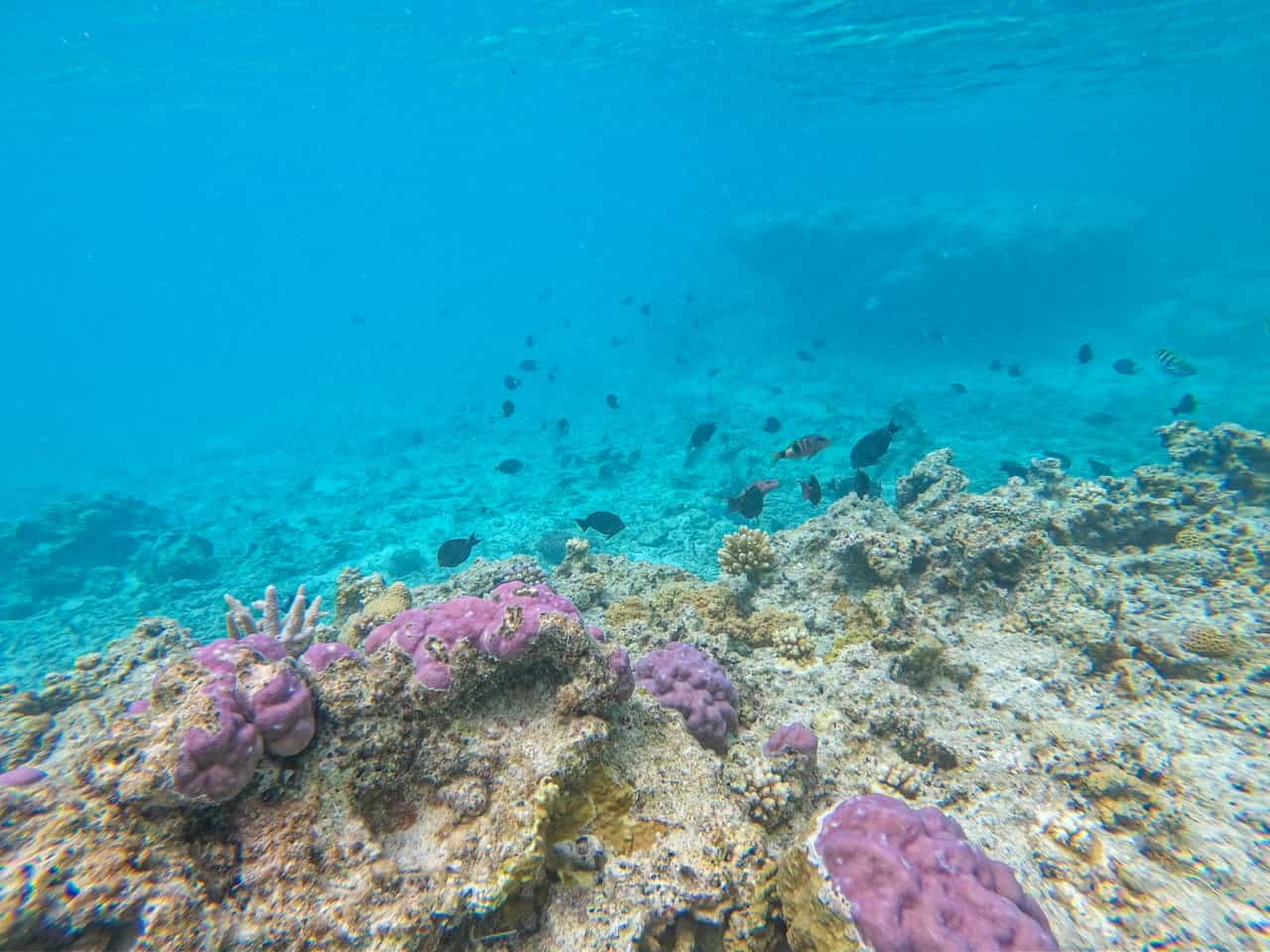 【連載】初めての沖縄旅行!日帰りで行ける離島を紹介