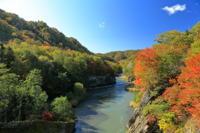 鮮やかなライトアップもあり!北海道の紅葉、ベストシーズンの予測や見頃を紹介!