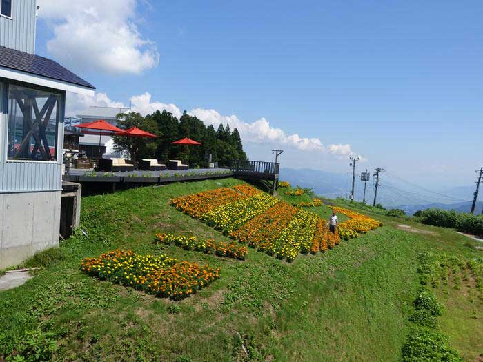 【新潟】世界最大級の湯沢高原ロープウェイに乗ってパノラマパークへ