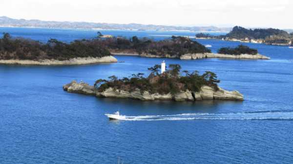 【連載】ドライブで楽しむおすすめの旅 ~秋の宮城でお花見と海の絶景を満喫~