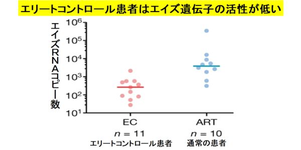 エイズを「自然治癒」させた超免疫持ちの人間が発見される