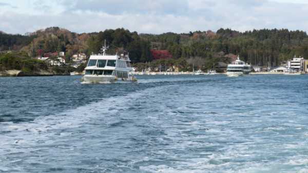 【連載】ドライブで楽しむおすすめの旅 ~秋の宮城でお花見と海の絶景を満喫~