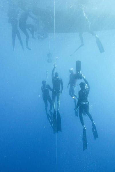 トップダイバーの心拍数が「1分間に11回」を記録!イルカやクジラに匹敵