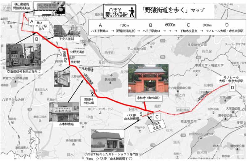 【よみっこ】野猿峠にサルはいますか?野猿街道起点~野猿峠~永林寺