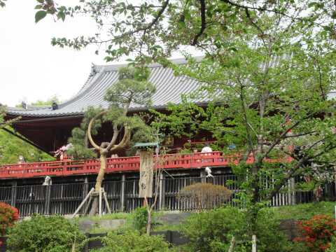 上野公園の楽しみ方を解説!自然に美術に動物園まで、上野公園の見どころを徹底網羅