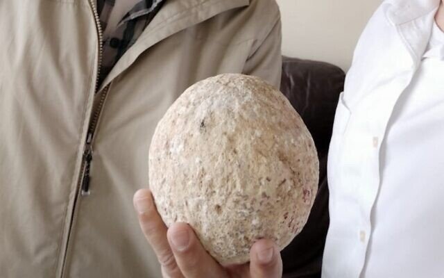 「世界が終末に近づいている」2000年前の投石弾を盗んだ男性が15年越しに返還