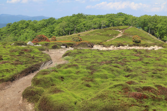 実践!私のマイクロツーリズム〜個性豊かな峰を育む、三重・滋賀県境の鈴鹿山地〜