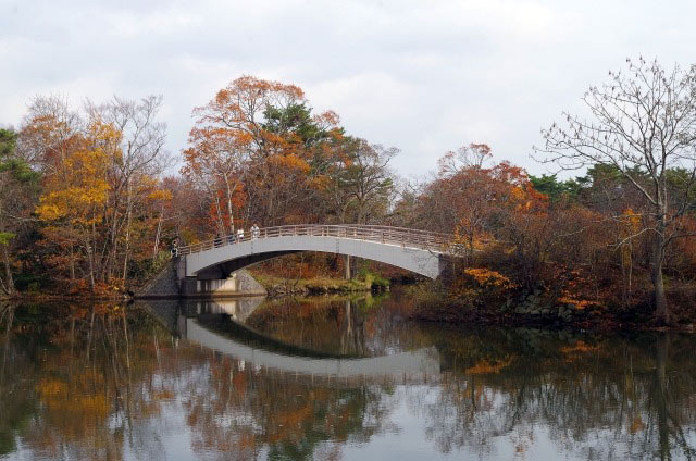 鮮やかなライトアップもあり!北海道の紅葉、ベストシーズンの予測や見頃を紹介!