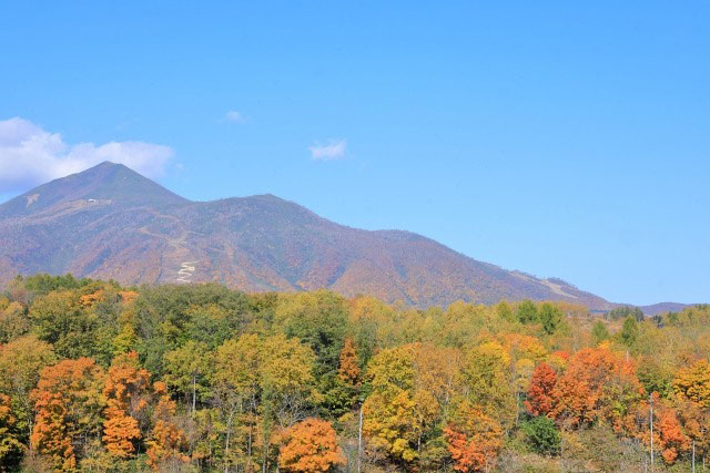 鮮やかなライトアップもあり!北海道の紅葉、ベストシーズンの予測や見頃を紹介!