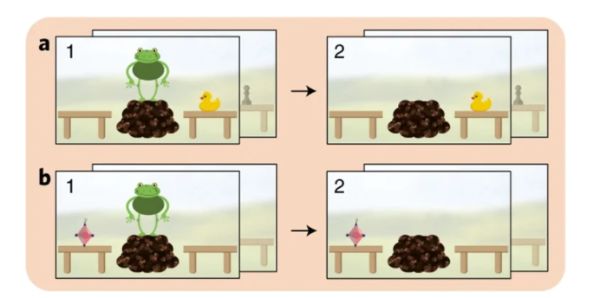 子供はどうやって言葉の意味を理解しているのか? 非常に複雑な情報統合のモデル化に成功