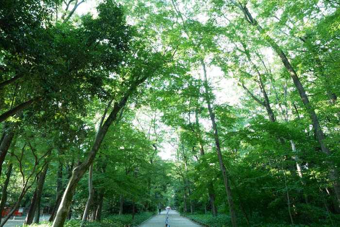 和菓子好きに!上賀茂神社〜下鴨神社のおすすめの回り方【京都の世界遺産巡り2】