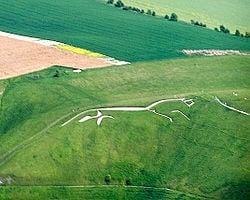 中央アジア初となる「雄牛の地上絵」をシベリア南部で発見!ナスカより2000年古い