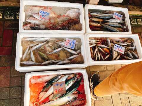 南房総のおすすめ観光スポット8選!皇室献上のびわや一面のお花畑、新鮮な魚介を満喫しよう♪