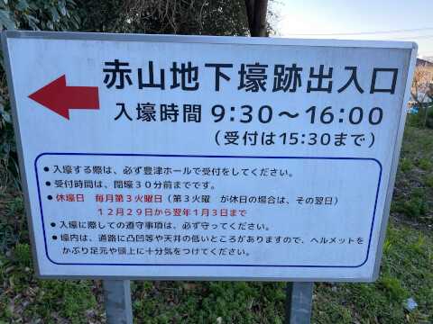 南房総のおすすめ観光スポット8選!皇室献上のびわや一面のお花畑、新鮮な魚介を満喫しよう♪