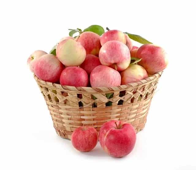 ベストシーズンは10月下旬?青森県の絶景ポイント、奥入瀬渓流の紅葉情報まとめ!