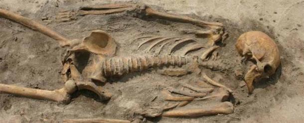 遠方の地で死んだ2人のヴァイキングに「血のつながり」を発見、1000年ぶりの再会を果たす!