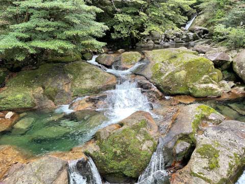 屋久島の世界遺産「縄文杉」!おすすめのトレッキングコースや見どころ・アクセス方法を紹介