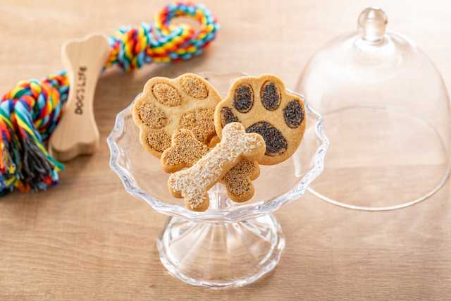 「コンラッド東京」で愛犬と贅沢な一夜を!ドッグフレンドリー宿泊プラン