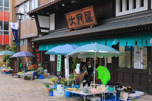 実践!私のマイクロツーリズム〜自然豊かな奥越エリア「越前大野・勝山」を冒険する!〜