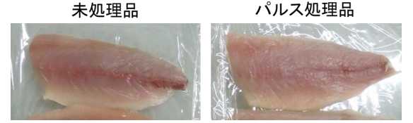 刺身に「パルスパワー」を流してアニサキスを殺虫する新技術が登場