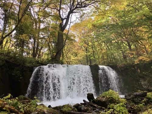 ベストシーズンは10月下旬?青森県の絶景ポイント、奥入瀬渓流の紅葉情報まとめ!