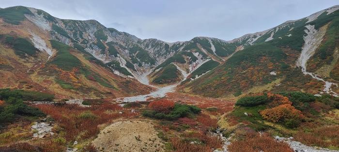 赤・黄・緑のコントラスト 絶景の紅葉スポット 立山室堂