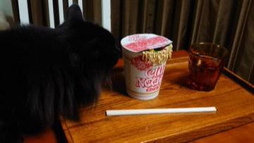 ちょっと心臓に悪いカップ麺用フタおさえ 中身が溢れちゃった!?
