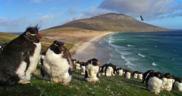世界のフシギな島10選! 「口笛で会話するトリがいる島」