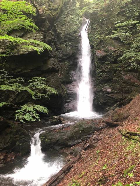 【群馬県・上野村】そこは村のイメージを変える活気あふれるところだった!
