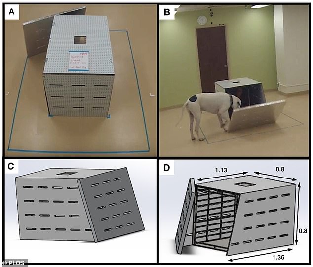 犬は「飼い主を助けたい」と思っていることが証明される! やっぱり犬は人に”やさしい”パートナーだった