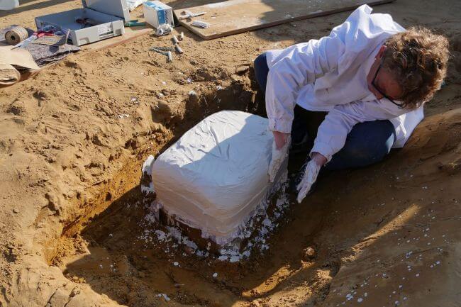 「サビの塊」を9ヶ月磨いたら2000年前の古代ローマ戦士の「銀」の短剣だった