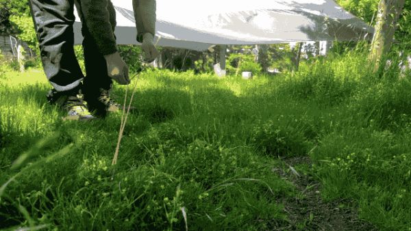 バイク乗りも要チェックのテントペグ!単なる「道具」から「高機能ギア」へと昇華。機能美を追求したサルタハイクの「BITE STAKE」。