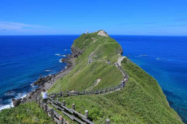「積丹ブルー」の海と絶品の生ウニ!積丹半島の自然の恵みを堪能しつくそう!