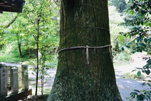 自然に生かされている事に感謝して ~御船町 吉無田水源~