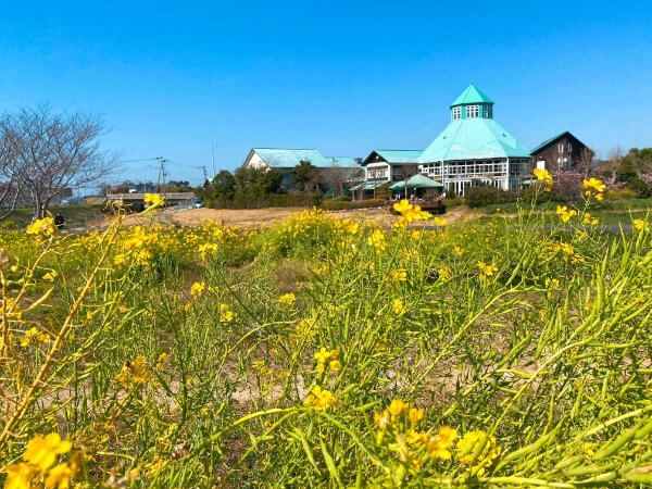 南房総のおすすめ観光スポット8選!皇室献上のびわや一面のお花畑、新鮮な魚介を満喫しよう♪