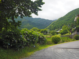 伊勢原「日向渓谷」は川遊びの穴場!秘境感溢れる近隣観光スポットもご紹介
