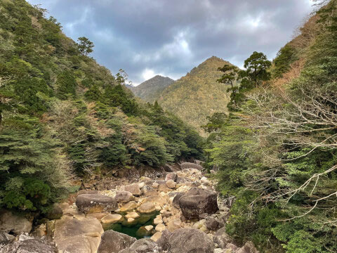屋久島の世界遺産「縄文杉」!おすすめのトレッキングコースや見どころ・アクセス方法を紹介