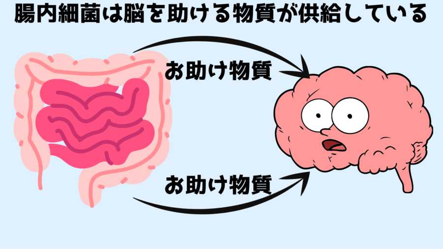 若いマウスの「うんち移植」で老いたマウスの脳が若返ると明らかに