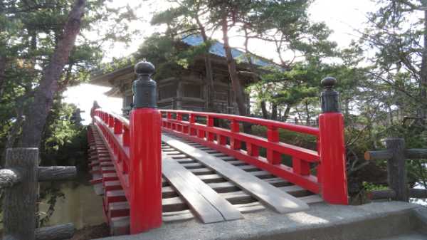 【連載】ドライブで楽しむおすすめの旅 ~秋の宮城でお花見と海の絶景を満喫~