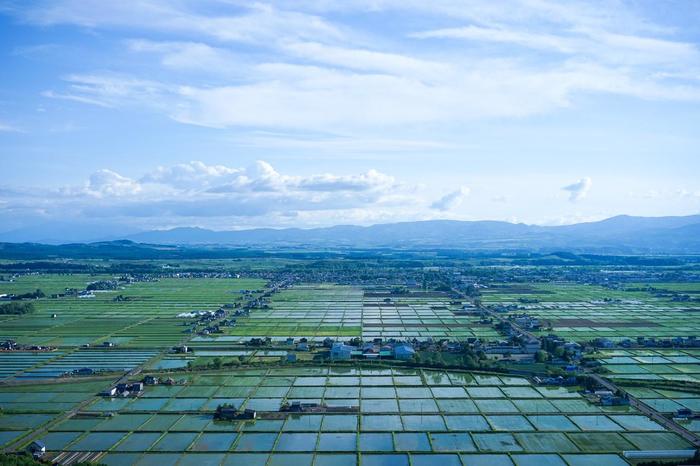 【北海道】水道から天然水が出るって?今、人口が増えている「東川町」とはどんなところ?