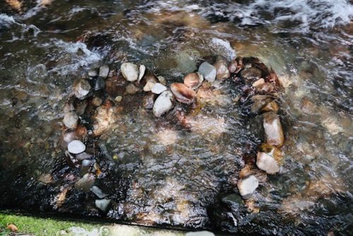 自然に生かされている事に感謝して ~御船町 吉無田水源~