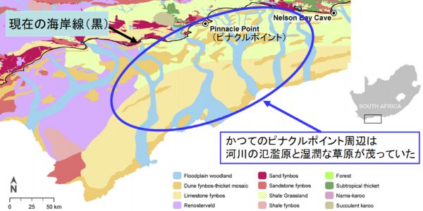 聖書通り?渡り鳥すら渡らない「エデンの園」を7万年前の南アフリカに発見