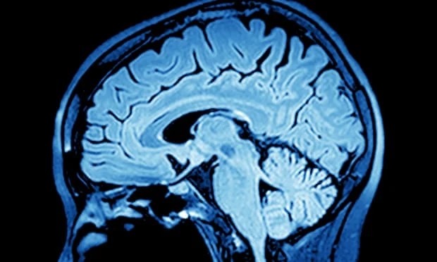 「私は死なない」脳には死を拒絶するメカニズムが存在した