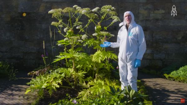 気絶する客も…世界一危険な「殺人植物園」とは