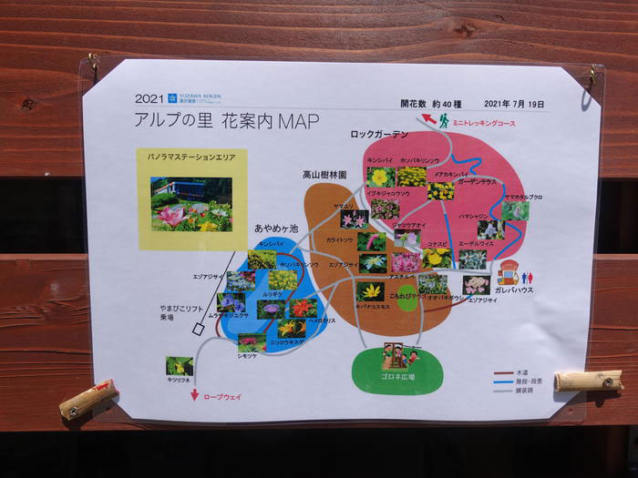 【新潟】世界最大級の湯沢高原ロープウェイに乗ってパノラマパークへ